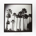 the album cover for Brandi Carlile - Live At Kcrw Morning Becomes Eclectic