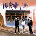 the album cover for Indonesian Junk - Indonesian Junk