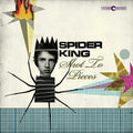 the album cover for Spider King - Shot to Pieces
