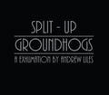 the album cover for Andrew Liles - Groundhogs Split-Up: A Exhumation By Andrew Liles