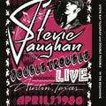 the album cover for Stevie Vaughan Ray - In The Beginning
