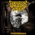 the album cover for Destroying the Devoid - Paramnesia