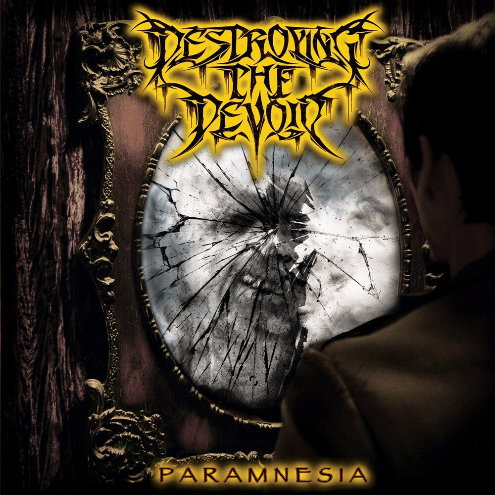 the album cover for Destroying the Devoid - Paramnesia