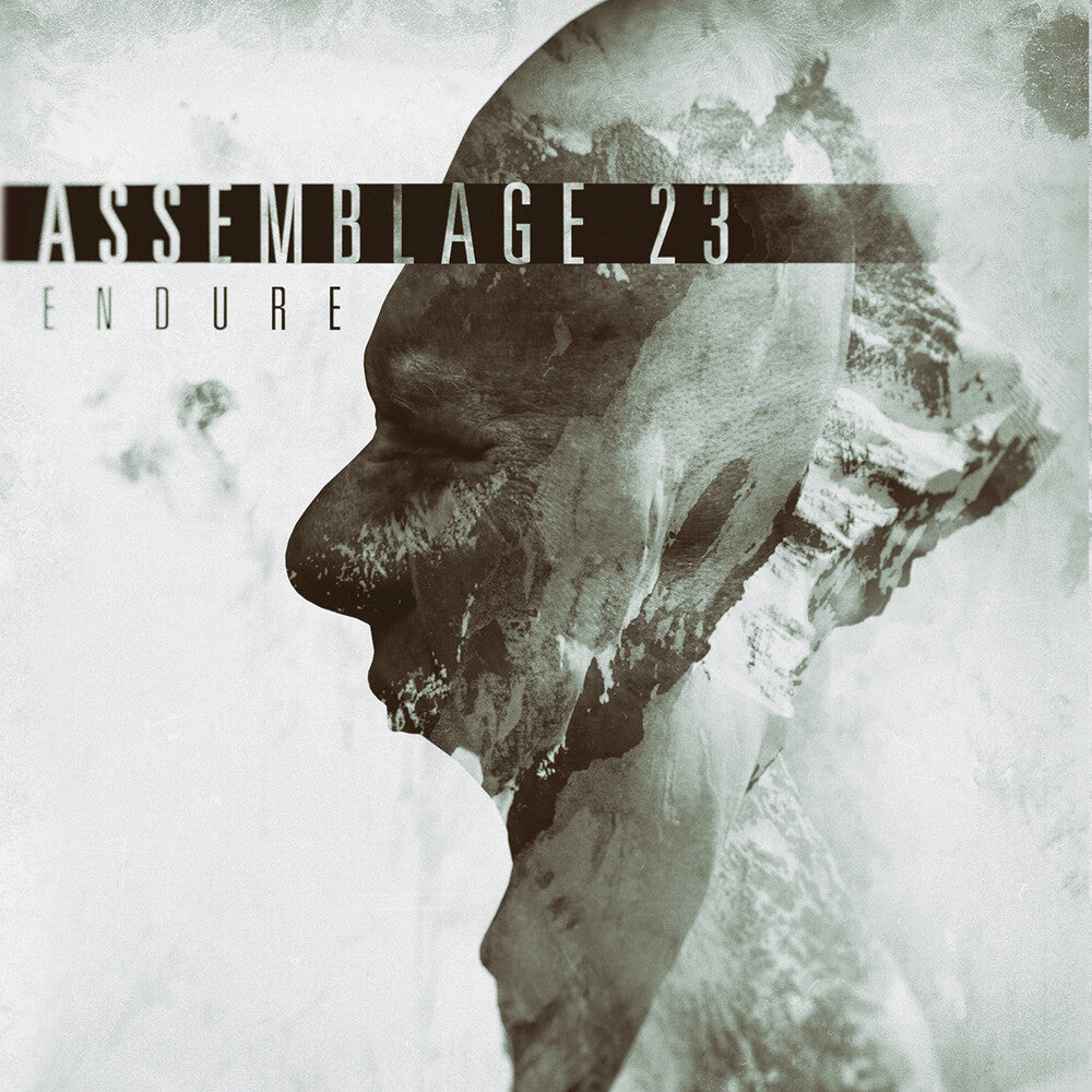 the album cover for Assemblage 23 - Endure [Limited Edition]
