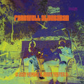 the album cover for Judy Henske / Yester,Jerry - Farewell Albebaran [Colored Vinyl] (Org) (Ylw)