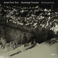 the album cover for Anat Fort Trio - Birdwatching