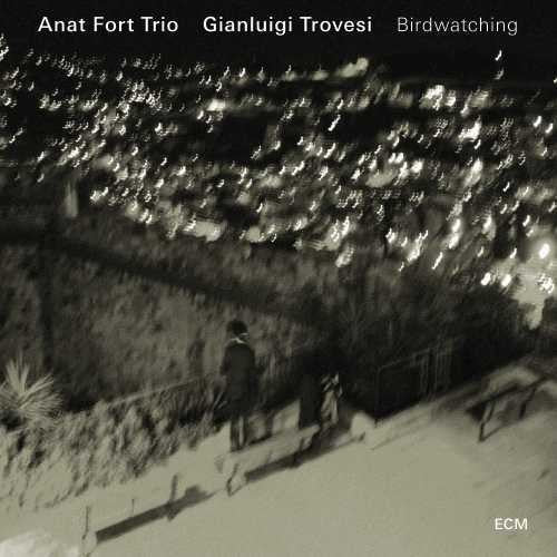 the album cover for Anat Fort Trio - Birdwatching