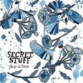 the album cover for Secret Stuff - This Is Fine