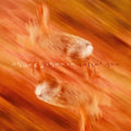 the album cover for Chuck Johnson - Velvet Arc [Vinyl]