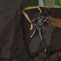 the album cover for Danava - Hemisphere of Shadows