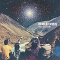 the album cover for The Wild Feathers - Lonely Is A Lifetime