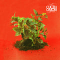 the album cover for Cullen Omori - New Misery