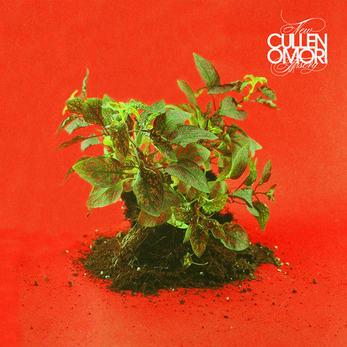 the album cover for Cullen Omori - New Misery