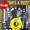 the album cover for Teenage Shutdown 15 Shes A Pest / Various - Teenage Shutdown 15: She's A Pest / Various