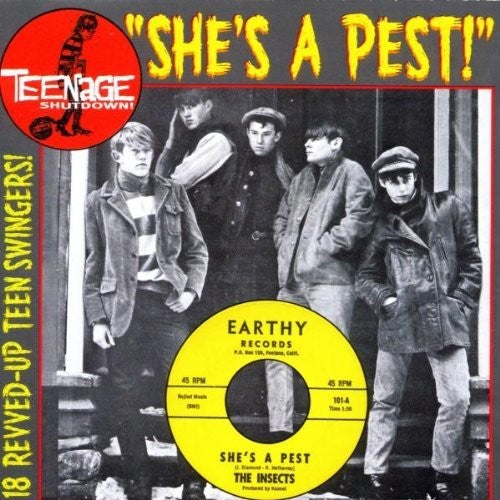 the album cover for Teenage Shutdown 15 Shes A Pest / Various - Teenage Shutdown 15: She's A Pest / Various