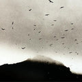 the album cover for Kris Drever - If Wishes Were Horses