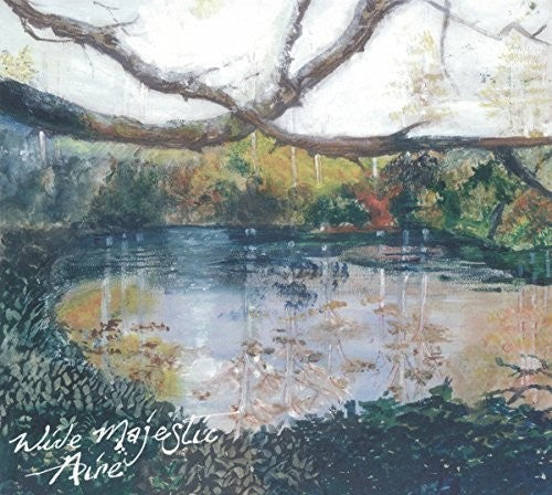 the album cover for Trembling Bells - Wide Majestic Aire