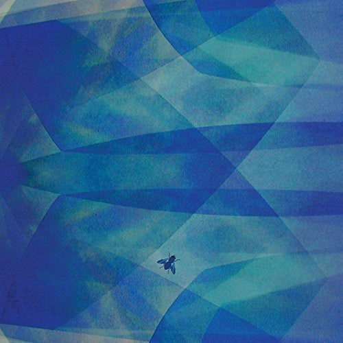 the album cover for Cyro Baptista - Bluefly