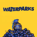 the album cover for Waterparks - Double Dare