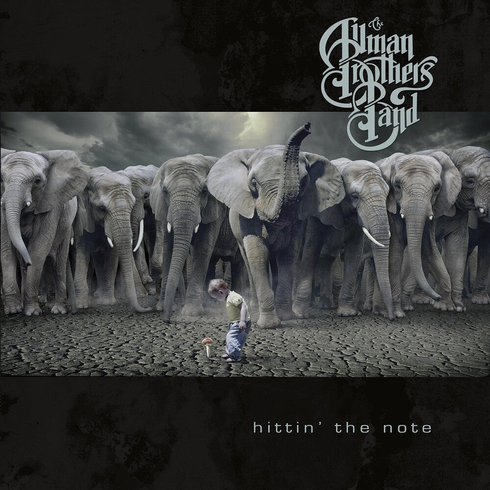 the album cover for The Allman Brothers Band - Hitting The Note (Blk) [Colored Vinyl] (Gate)