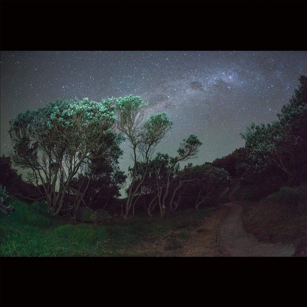 the album cover for Esben and the Witch - Older Terrors