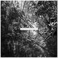the album cover for Andrew Pekler - Tristes Tropiques