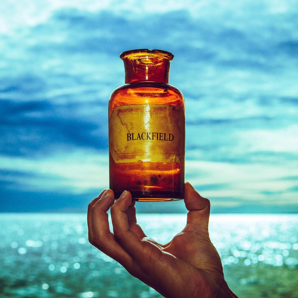 the album cover for Blackfield - Blackfield V