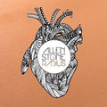 the album cover for Allen Stone - Radius