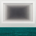 the album cover for Twin Limb - Haplo [Vinyl]