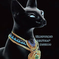 the album cover for Soil & Pimp Sessions - Black Track
