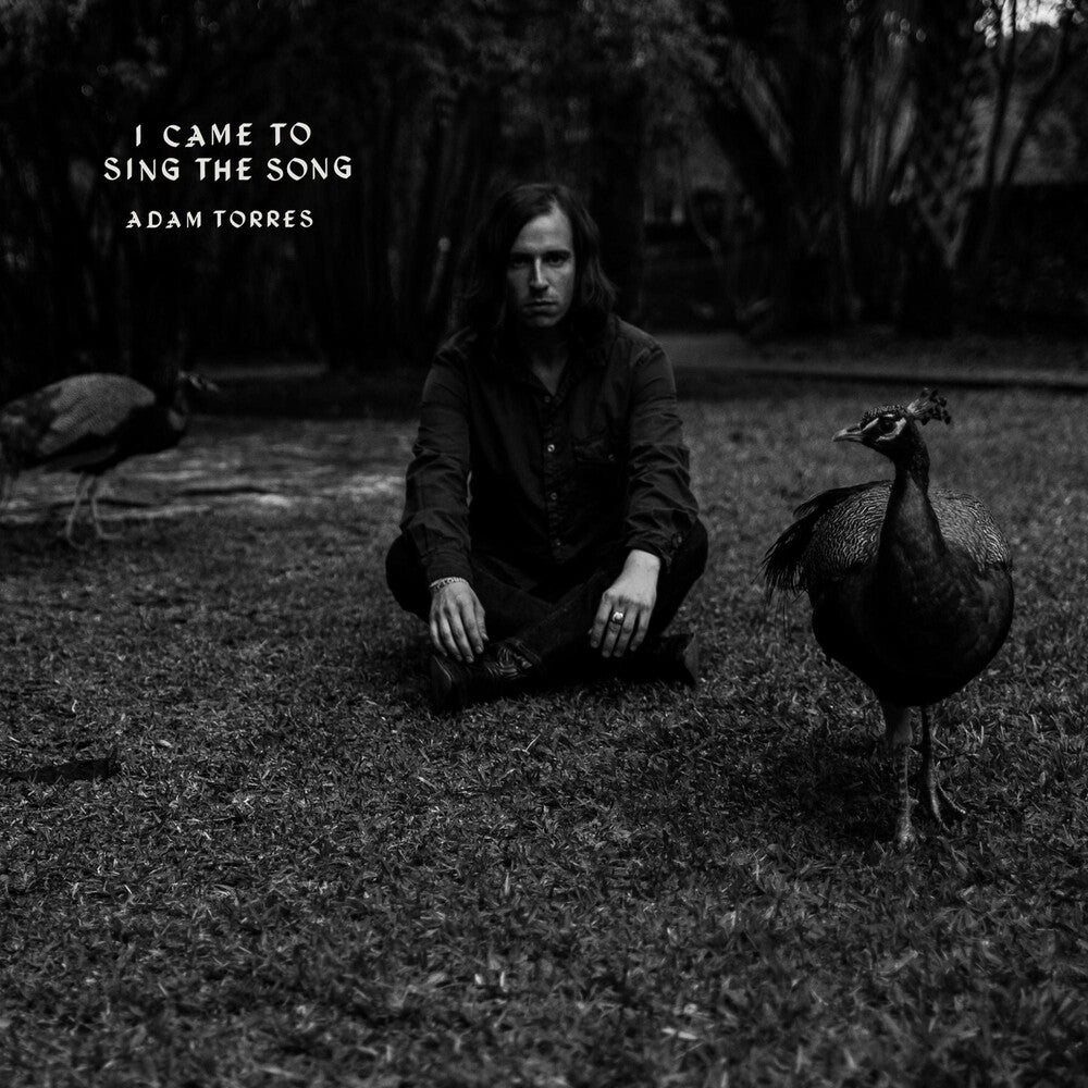 the album cover for Adam Torres - I Came To Sing The Song