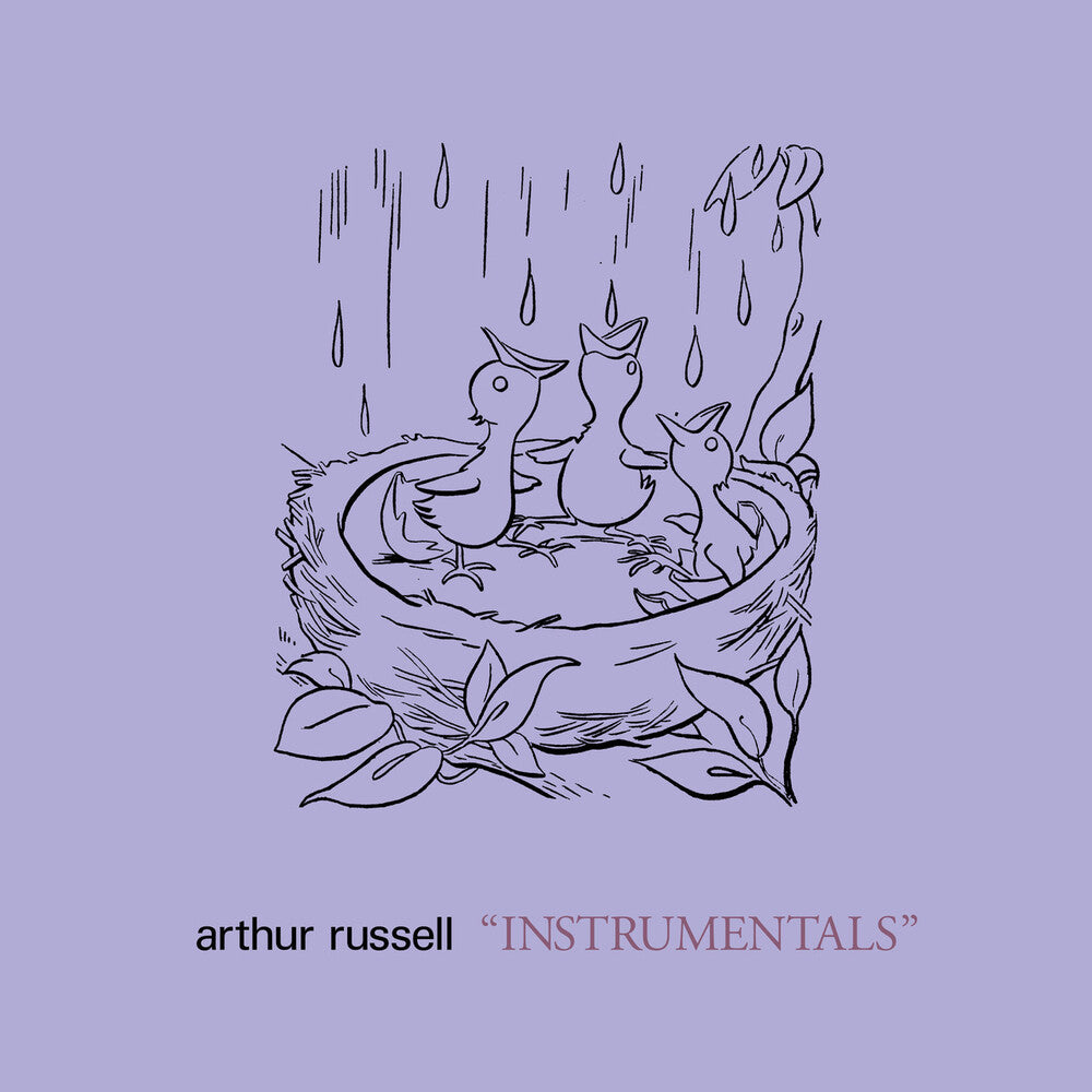 the album cover for Arthur Russell - Instrumentals