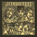the album cover for Jethro Tull - Stand Up (Steven Wilson Remix)