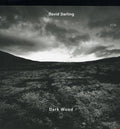 the album cover for David Darling - Darkwood