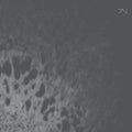 the album cover for Zond - Zond