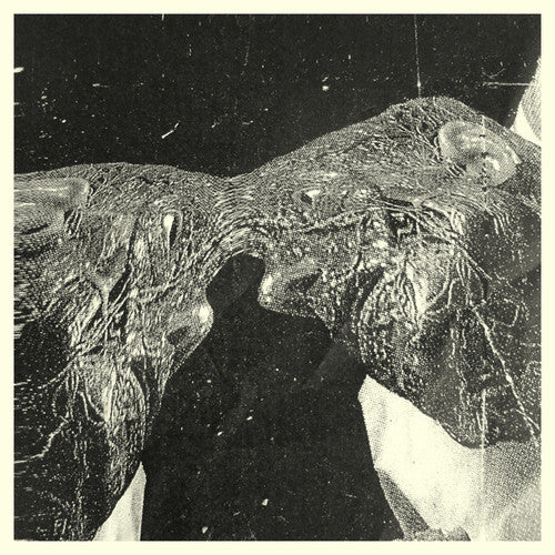 the album cover for Secret Boyfriend - Memory Care Unit