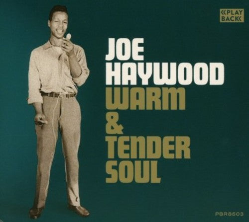 the album cover for Joe Haywood - Warm & Tender Soul