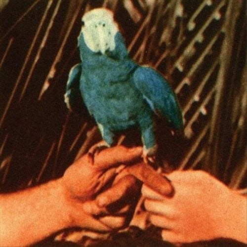 the album cover for Andrew Bird - Are You Serious [Deluxe Edition]