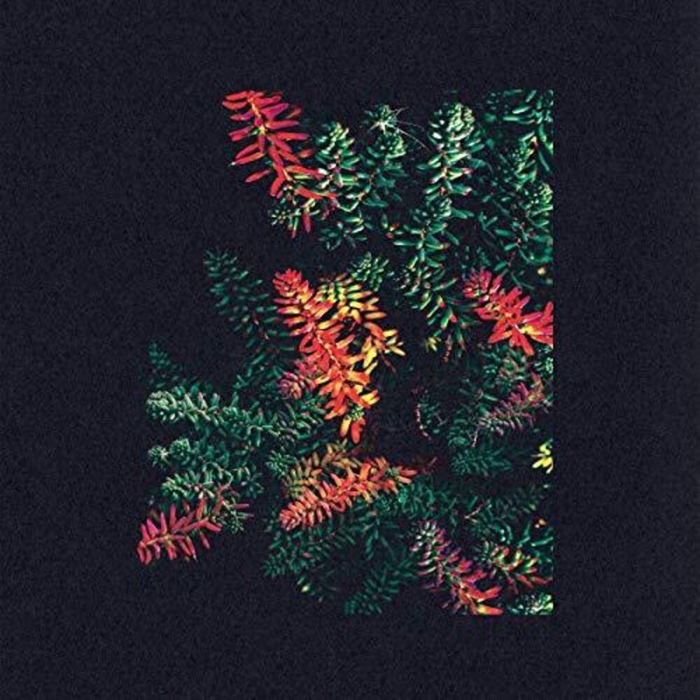 the album cover for Dark Sky - Othona