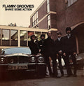 the album cover for Flamin' Groovies - Shake Some Action