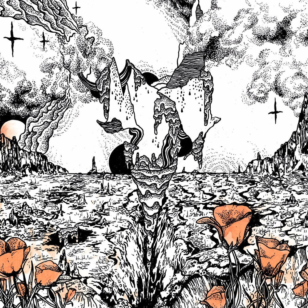 the album cover for Evolfo - Last Of The Acid Cowboys