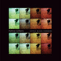 the album cover for Kathryn Williams - Little Black Numbers