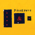 the album cover for Pinegrove - Everything So Far