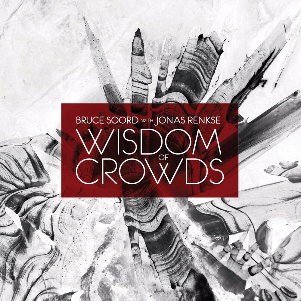 the album cover for Bruce Soord / Renkse,Jonas - Wisdom Of Crowds