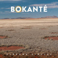 the album cover for Bokanté - Strange Circles
