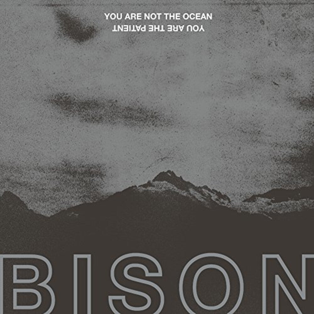the album cover for Bison - You Are Not The Ocean You Are The Patient