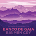 the album cover for Banco De Gaia - Big Men Cry