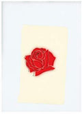 the album cover for LANY - LANY [2LP]