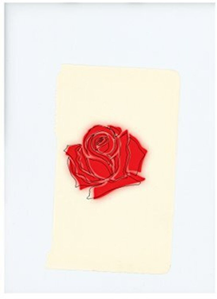 the album cover for LANY - Lany
