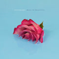 the album cover for Picturesque - Back To Beautiful